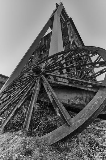 XT043546.jpg