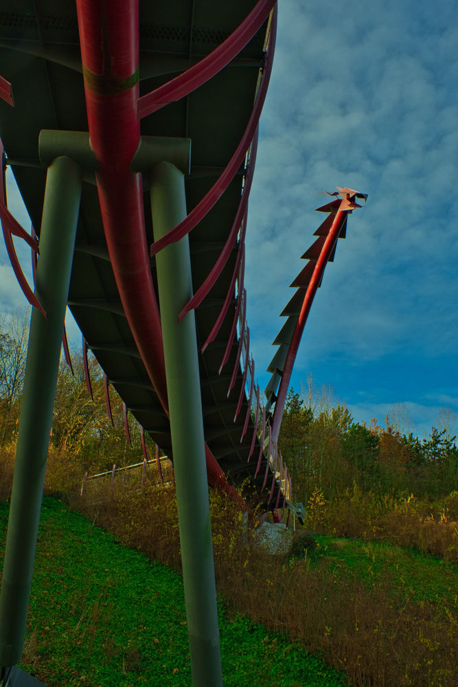 XT042756.jpg