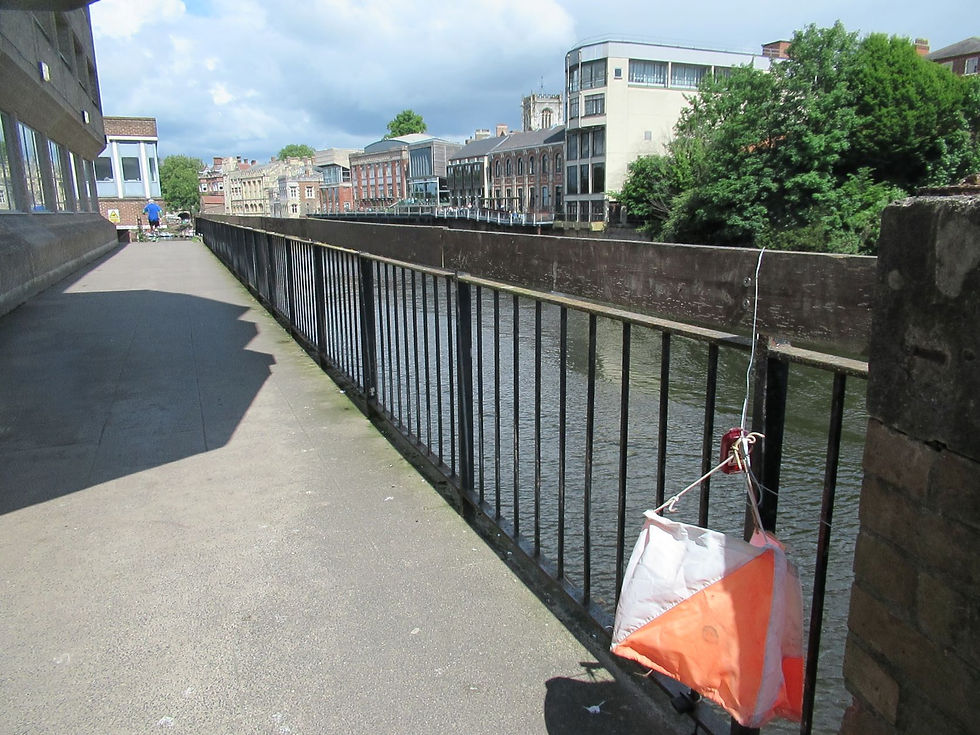 York City Race, May 22, last control, Vicky Todd
