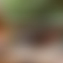 Screen free childcare