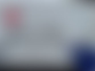 Fort Lauderdale Zetas Take Action