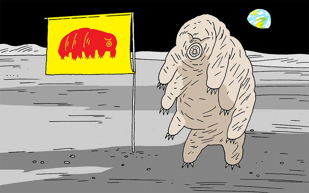 SIERRA SALUTING-TARDIGRADE.gif