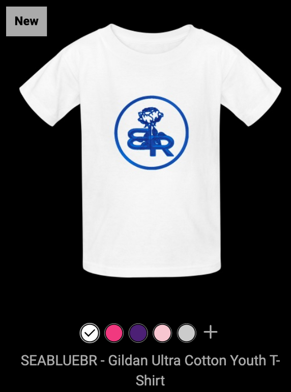 Screen Shot 2023-06-18 at 11.14.30 AM.png