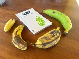 Beyond the Cavendish: a Look at the Fascinating Story of Bananas and Plantains in Costa Rica