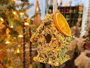 🐦 Why You Should Feed Birds in Winter