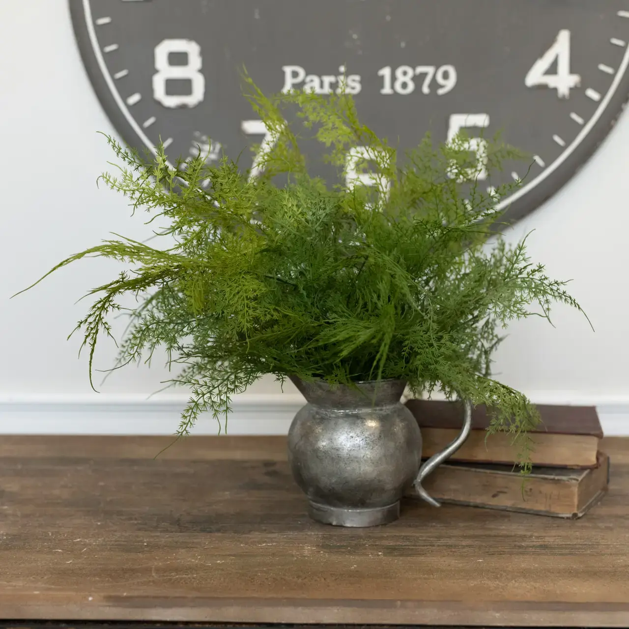 Asparagus Fern 18"
