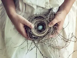 🐦 Feeding Birds With Kids