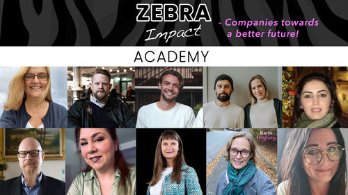 We present the companies that were accepted in the first round of the Zebra Impact Academy!