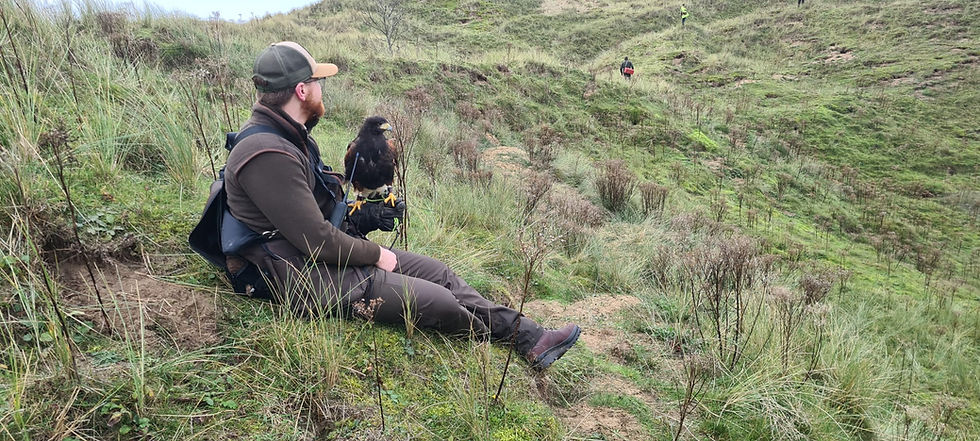 Hunting day in Wales