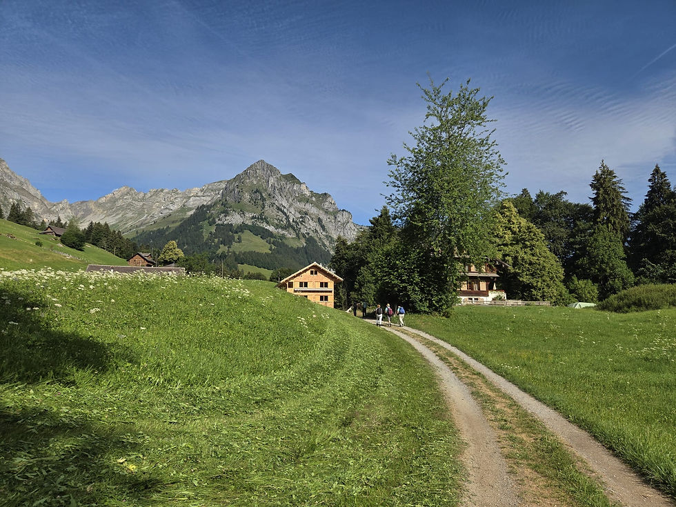 Wanderung Wolzenalp