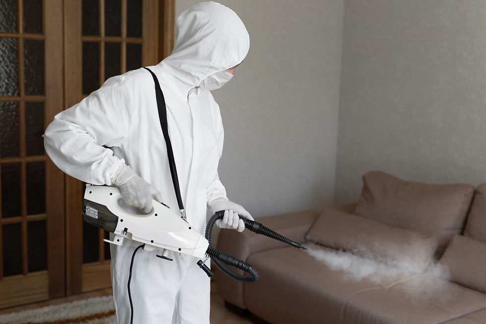 Wallpaper installation 2.jpg