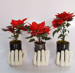 Pedido navideño, cliente satisfecho