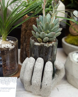 IMG_20171217_130052_501