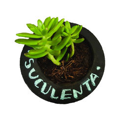 Media Luna Pizarrón