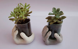 12308835_1076321212389064_2496625067067483322_n