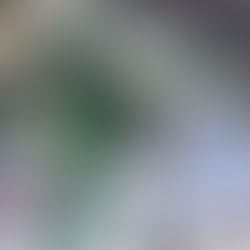 China tiene más de 1.800 proyectos de Internet industrial 5G+ en construcción