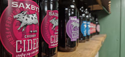 Saxbys Cider