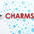 CHARMS (2)_edited_edited.png