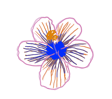 Hibiscus.gif