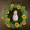 Thumbnail: Newborn Photoshoot Blender Scene – 59k Polygons | Basket & Floral Setup