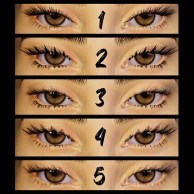 3D Eyelash Pack #1 (FREE)