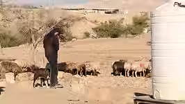 הבדואים שעוזבים את הכפרים: "אנשים ספגו מכות, זו הפכה לזירת פחד"