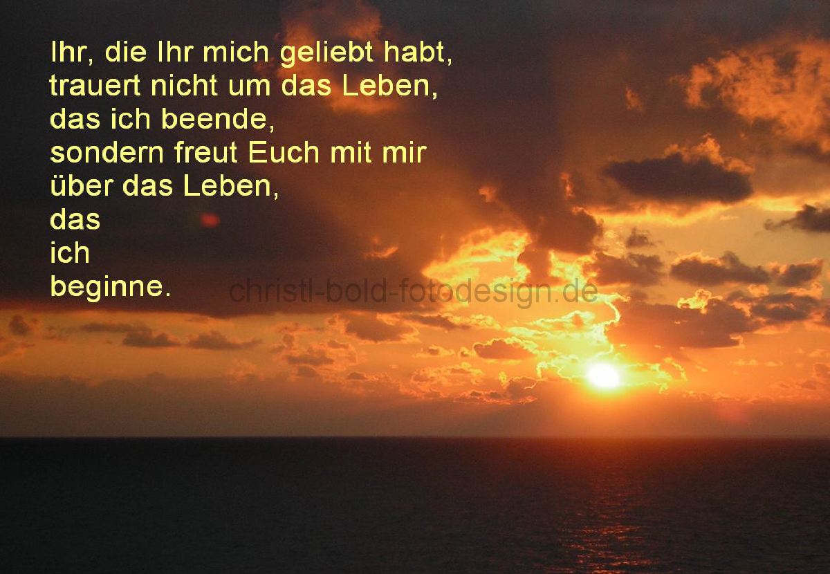 Meer-trauertnicht.bmp