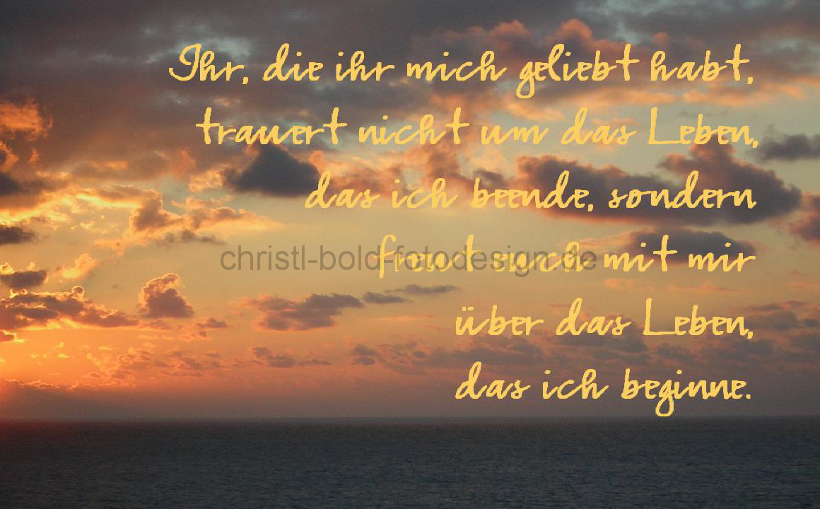 Meer-trauertnicht2.bmp