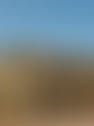 Two-story Las Vegas home with stucco exterior and desert landscaping, representing a typical residential property in the local real estate market