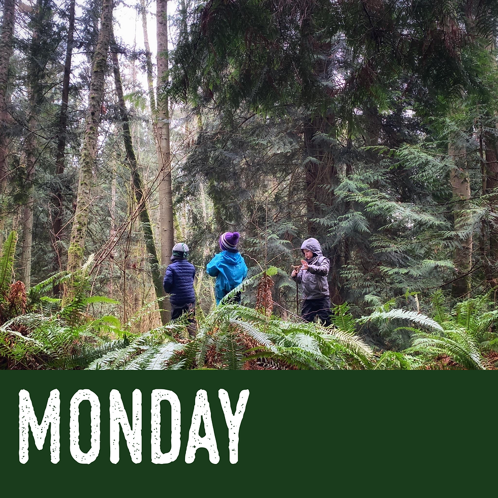 Mondays - Nature Together Preschool Deposit