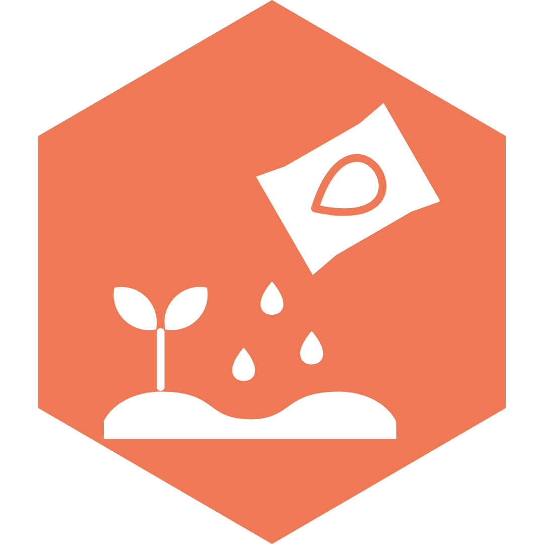 Seed Sponsor