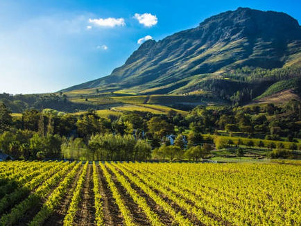 South Africa Visitor Overview