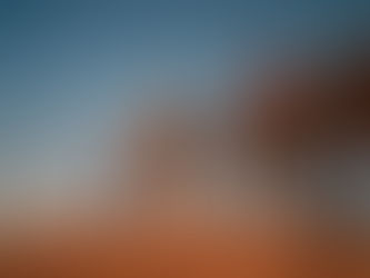 Camel Rides in Morocco