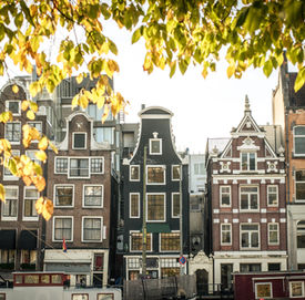 Non-Stop to Amsterdam