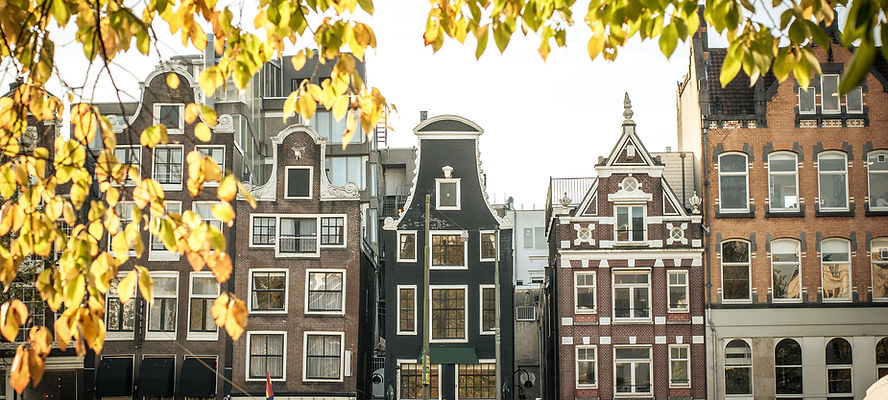 Non-Stop to Amsterdam