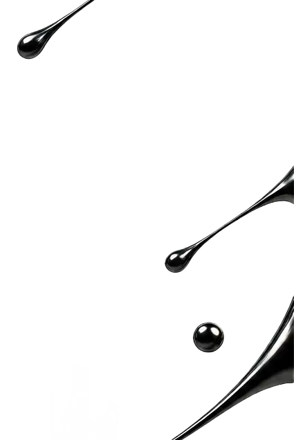 Net 7.2.webp
