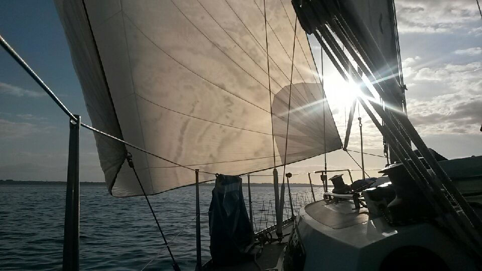 20150705_203353.jpeg