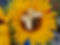 20240707_100331.jpg