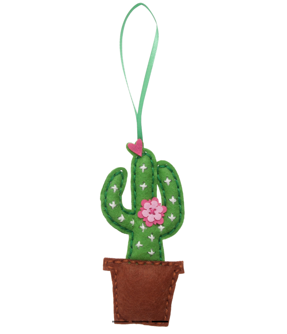 Thumbnail: Make your own Felt Cactus Kit Finished