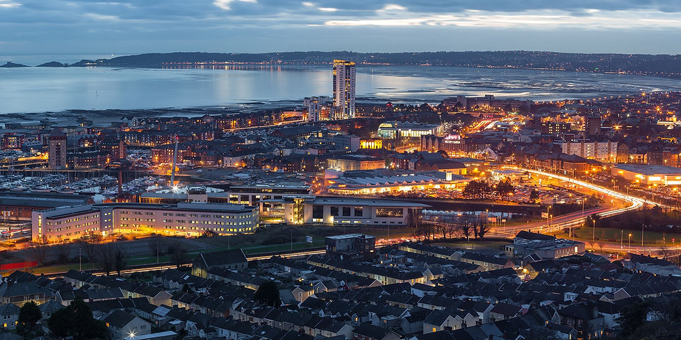 Swansea Structural Surveys.jpg
