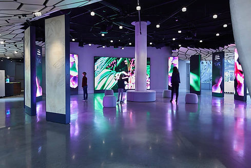This-art-installation-uses-LED-Video-Walls-as-displays-for-high-quality-images-another-wor