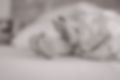 tjs_handmade-140.jpg