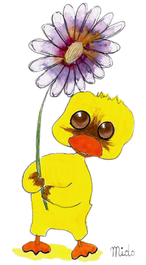 DOMIDO.png