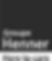 LOGO HENNER NB