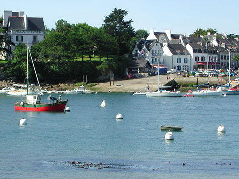 Explorez les Secrets Sous-Marins de la Bretagne en Catamaran 🐠: Spots de Plongée en Bretagne