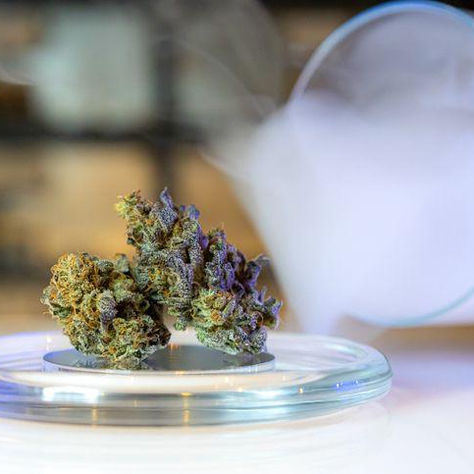 5 choses que tu ne savais pas sur le CBD (et la 3ᵉ va te surprendre 😱)