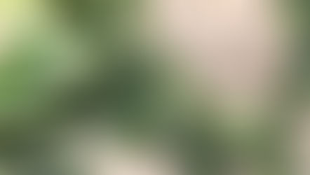 סלט כרובית גורף מחמאות