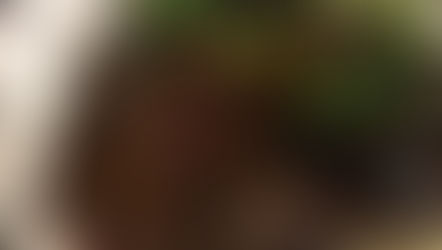 אסאדו בניחוח אסיאתי