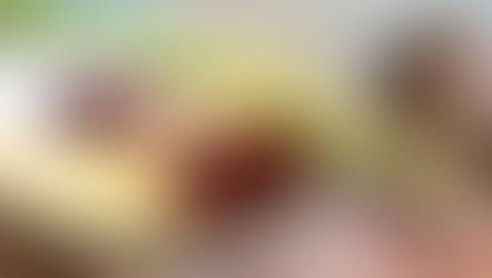 שעועית יום ו' ריוי