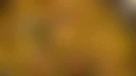 סיר קציצות תרד וירוקים